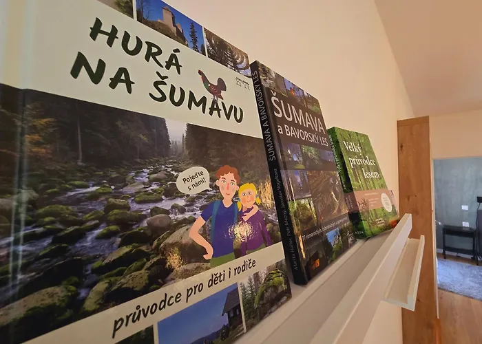 Alpine Apartment Sumava